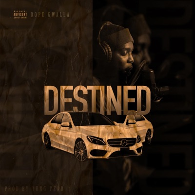 Destined - Single