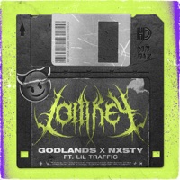 Lowkey (feat. Lil Traffic) - Single - Godlands & NXSTY