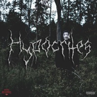Hypocrites (feat. El Perro Gamboa) - Single - Safrok Ucs