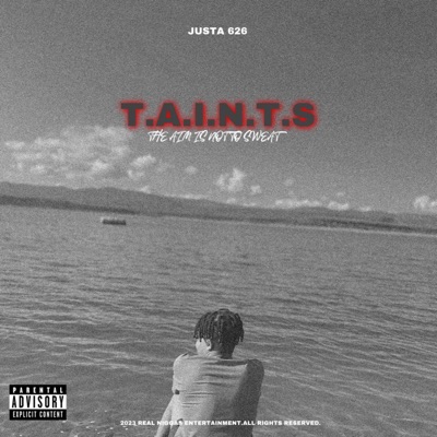 T.A.I.N.T.S