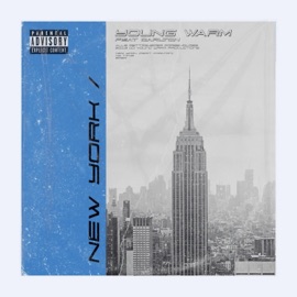 NEW YORK (feat. Carlton) Young Warm