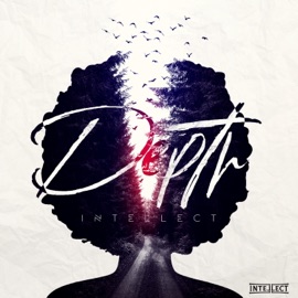 Scarface Fitted (feat. Nicolas Laget, Brian & Marcus Mitchell) Intellect