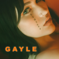 dumbass-Gayle