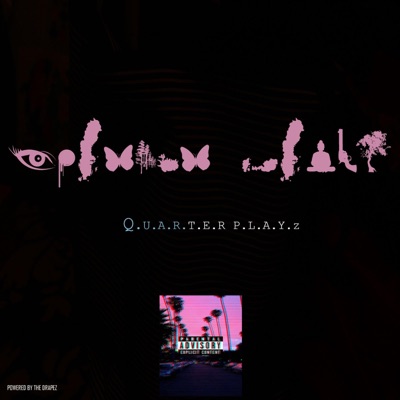 Quarter Playz