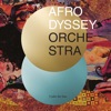 Afrodyssey Orchestra