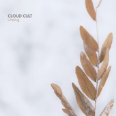 Cloud Cult - Purpose
