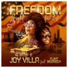 Freedom (Fight for It) [feat. Flint Bedrock] - Single