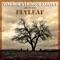 Fully Alive - Vitamin String Quartet lyrics