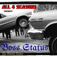 Boss Status - Single - Storm Green