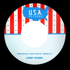 Through All Your Faults / Forget It - Single