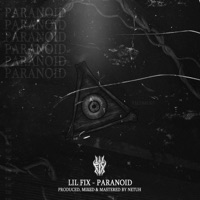 Paranoid - Single - Fix