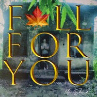 Fall for You - Single - Kevin Edward