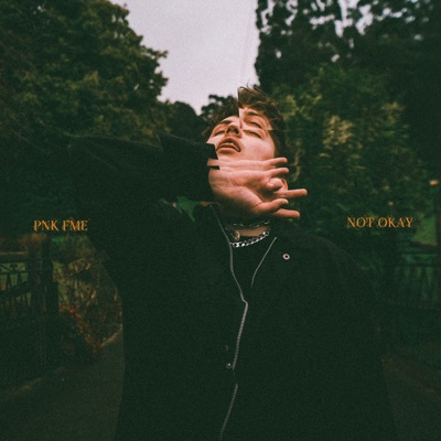 Not Okay - Single