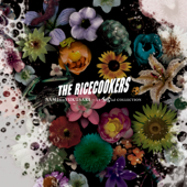 NAMInoYUKUSAKI TV SPECial COLLECTION