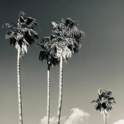 Feels (Acoustic) - Single - El Rey Leon