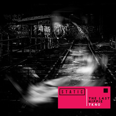 The Last Hippie - Single