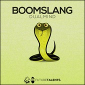 Boomslang artwork