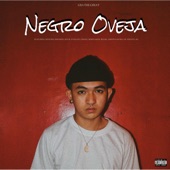 Negro Oveja artwork