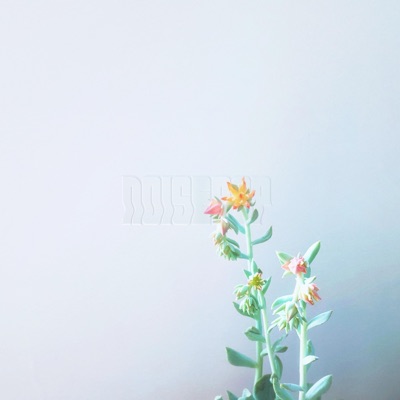 Noise - EP