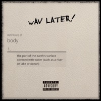 Wav Later - Single - Shryne