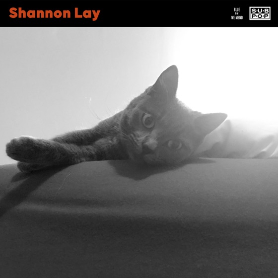 Cover artwork for Blue