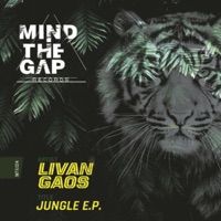 Jungle (Radio Mix) - Single - Livan Gaos
