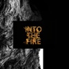 Stray From The Path Fight for Who I Am Into the Fire - EP