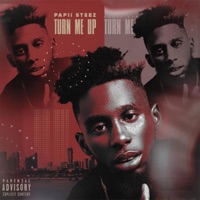 Turn Me Up - Single - Papii Steez