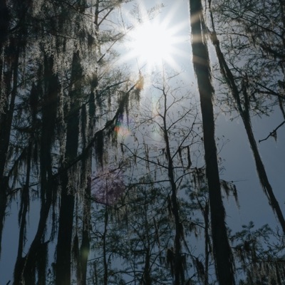 Walk in the Sun - Single