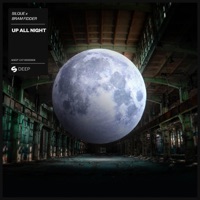 Up All Night - Single - Silque & Bram Fidder