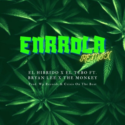 Enrrola (feat. el hibrido, el tebo, braayan lee & the monkey) [Remix] - Single