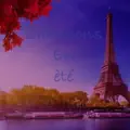ROULEAU_POUR_AMÉLIE