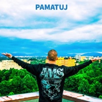 Pamatuj - Single - Serega