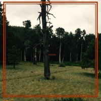God Have Mercy (feat. DodgyAmerican) - Single - Tall Tree Hippy