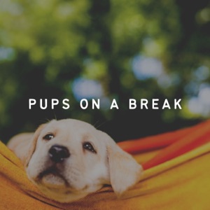 Pups on a Break