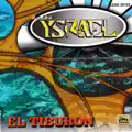 El Tiburon