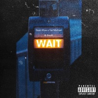 Wait (feat. DreAli') - Single - Taz Michael & Dean Khao