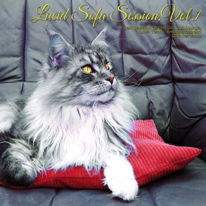Lucid Sofa Session, Vol. 1 (Finest Selection of Chill Out Club Lounge, Down Tempo, Ambient, Dub and Cafe Bar Music)