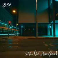 Miau (feat. Anne Groen) — Bartek