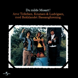 Du milde Mosart! (feat. Bakklandet Bassangforening)