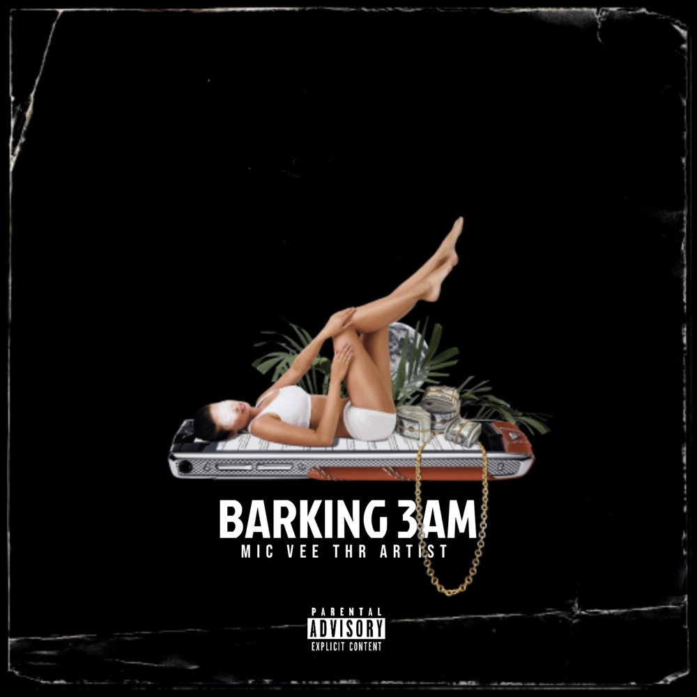 Обложка альбома «Barking 3Am - Single» — Mic Vee the Artist