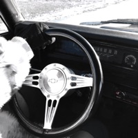 Yesterday - Single - ELIYYA LANE