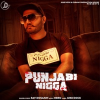 Album cover for Punjabi N***a by Rav Dosanjh