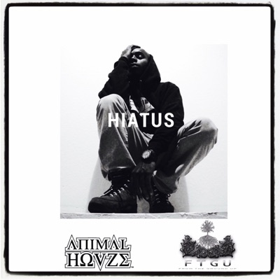 Hiatus - Single