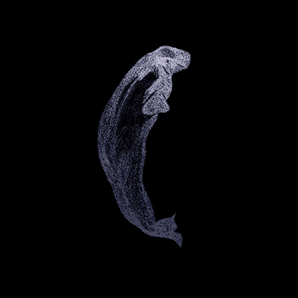 Belugas - EP