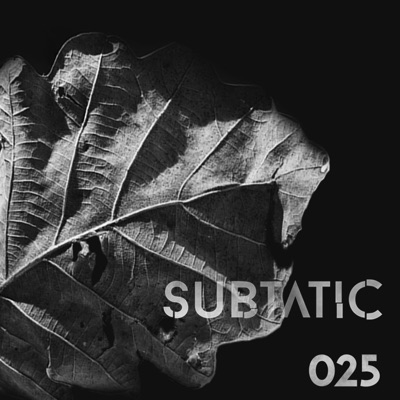 Subtatic 025 - Single