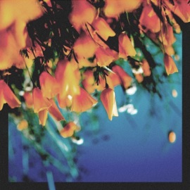 Quicksand Sleepermane & Sebastian Kamae