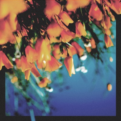Quicksand - Single