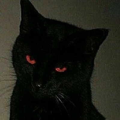 Nomo.Versión Gato - Single