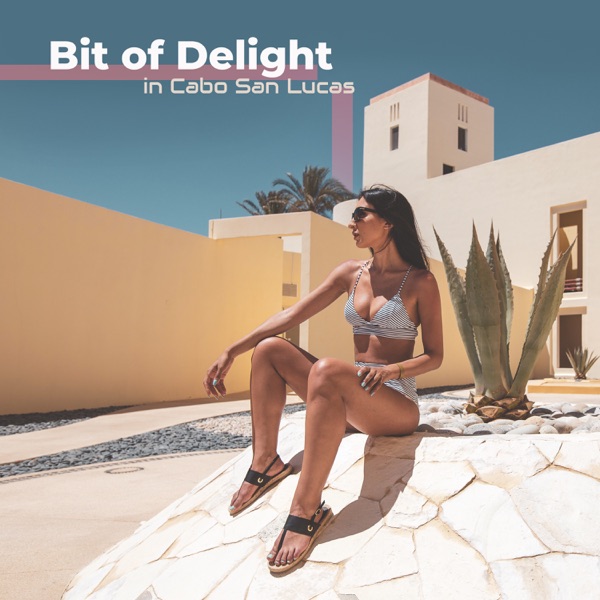Bit of Delight in Cabo San Lucas